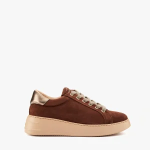 Sneaker 220-D cacao